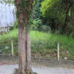 Terreno à venda ou para alugar no Centro, Atibaia, SP