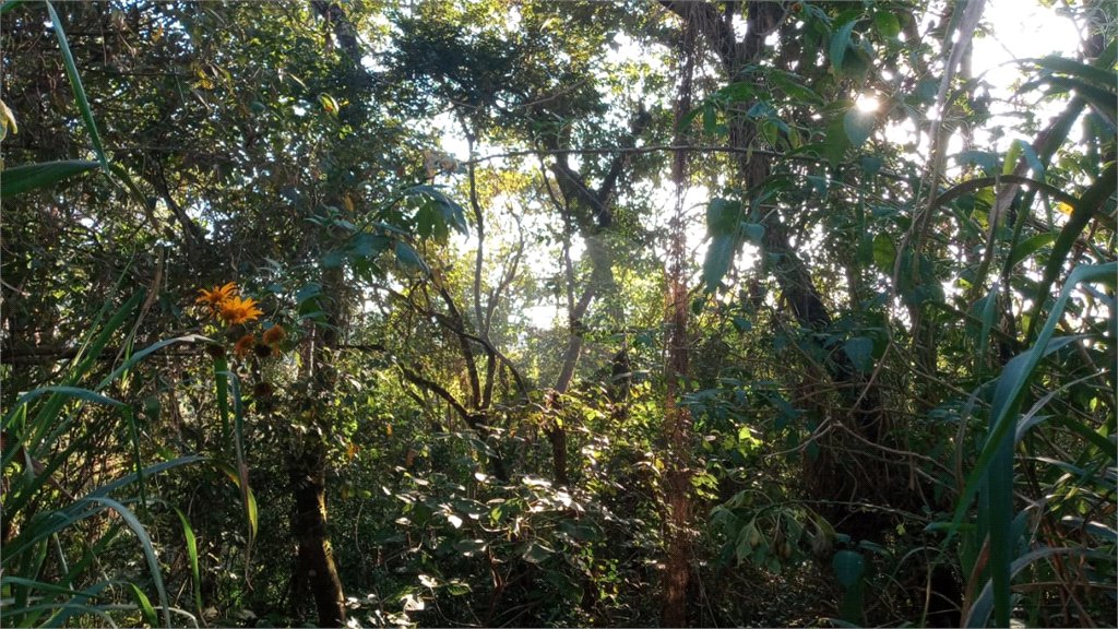 Terreno à venda em Caraguatá, Mairiporã, SP