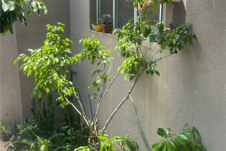 Casa à venda com 14 quartos em Vila Ipojuca, São Paulo, SP