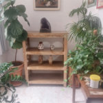 Apartamento à venda com 3 quartos, sendo 1 suíte, em Tijuca, Rio de Janeiro, RJ