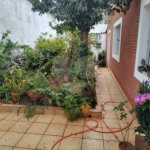 Casa Térrea à venda com 3 quartos, sendo 1 suíte, em Super Quadra Morumbi, São Paulo, SP