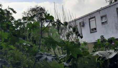 Terreno à venda em Chácara Monte Alegre, São Paulo, SP