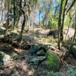 Terreno à venda em Jundiaizinho (terra Preta), Mairiporã, SP