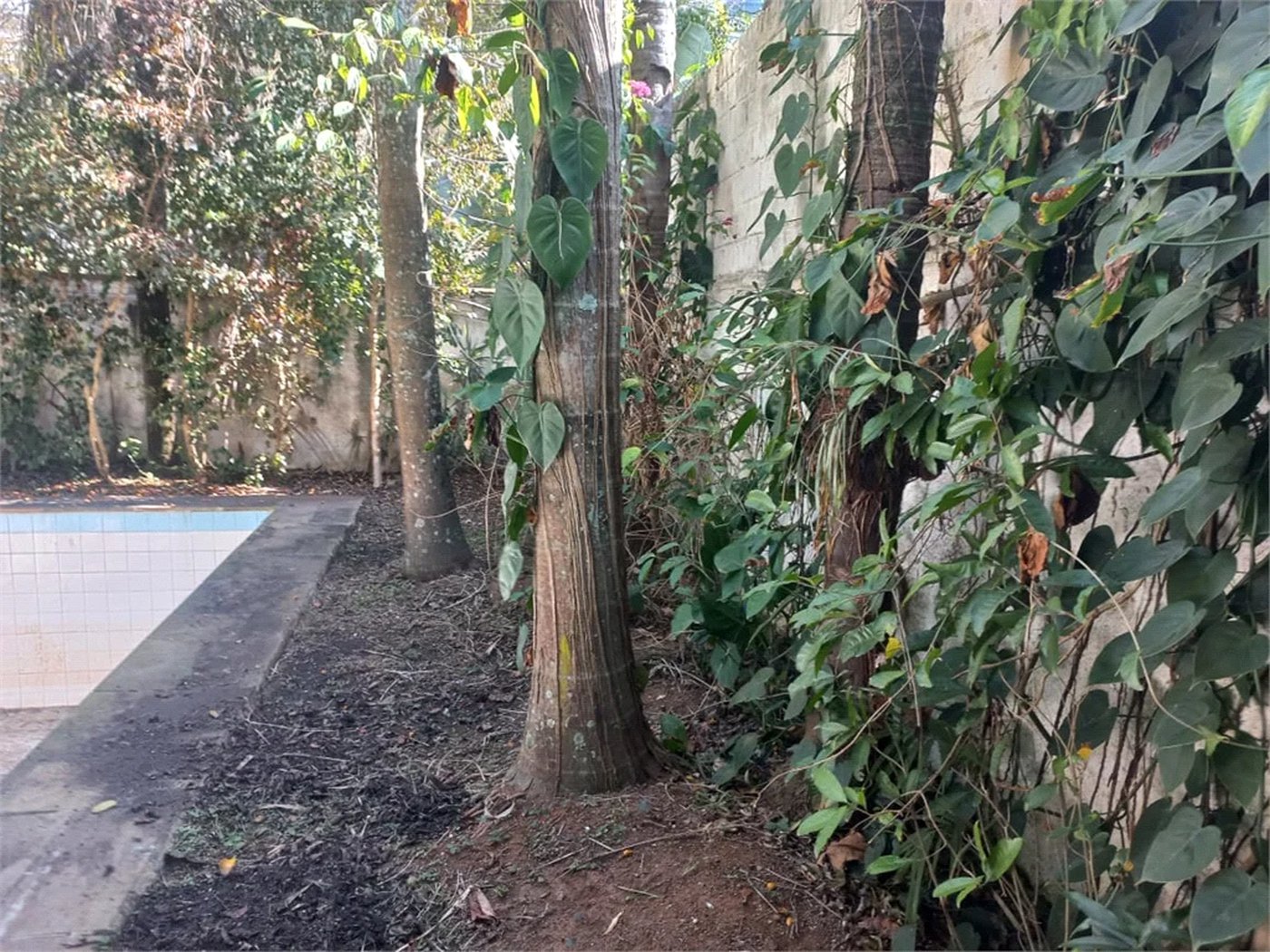 Casa à venda com 3 quartos, sendo 2 suítes,  em Morumbi, São Paulo, SP