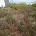 Lote no Jardim do Bosque, aceita financiamento ou aquisição de terreno e construção .