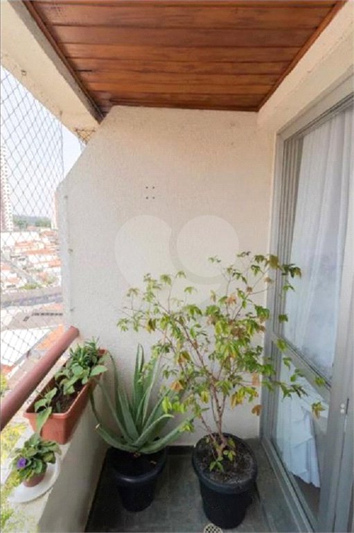 Apartamento à venda com 3 quartos, sendo 1 suíte,  em Mandaqui, São Paulo, SP