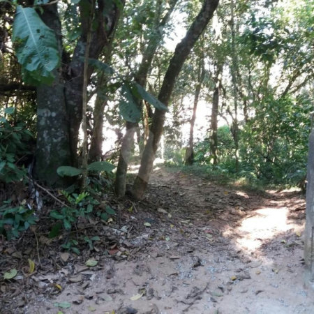 Terreno à venda em Tucuruvi, São Paulo, SP