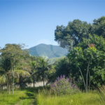 Área de Terra à venda com 1 suíte em Campo Grande, Rio de Janeiro, RJ
