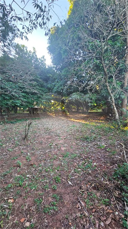 Terreno à venda em Jardim dos Estados, Ponta Porã, MS