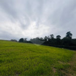 Terreno à venda no condomínio Fazenda Jequetibá, Sorocaba - SP
