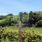 Chácara à venda em Estância Hidromineral Santa Eliza, Itupeva, SP