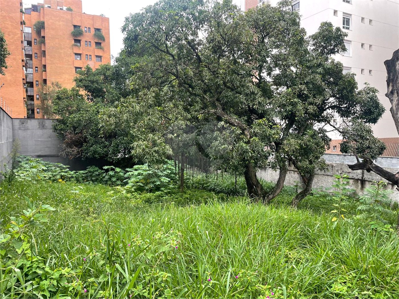 Terreno à venda em Jardim Guedala, São Paulo, SP