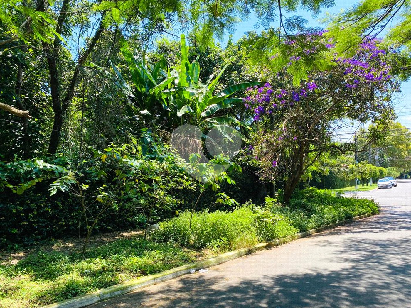 Terreno à venda em Interlagos, São Paulo, SP