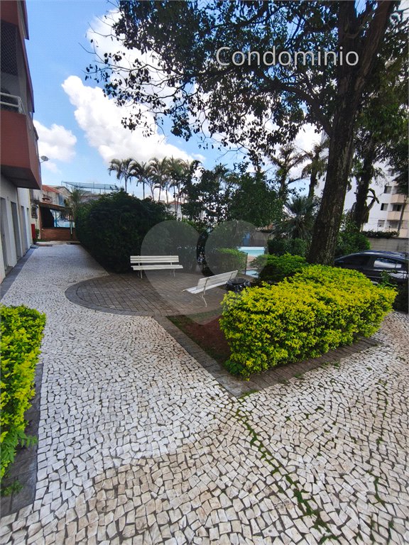Apartamento à venda com 3 quartos em Vila Matilde, São Paulo, SP