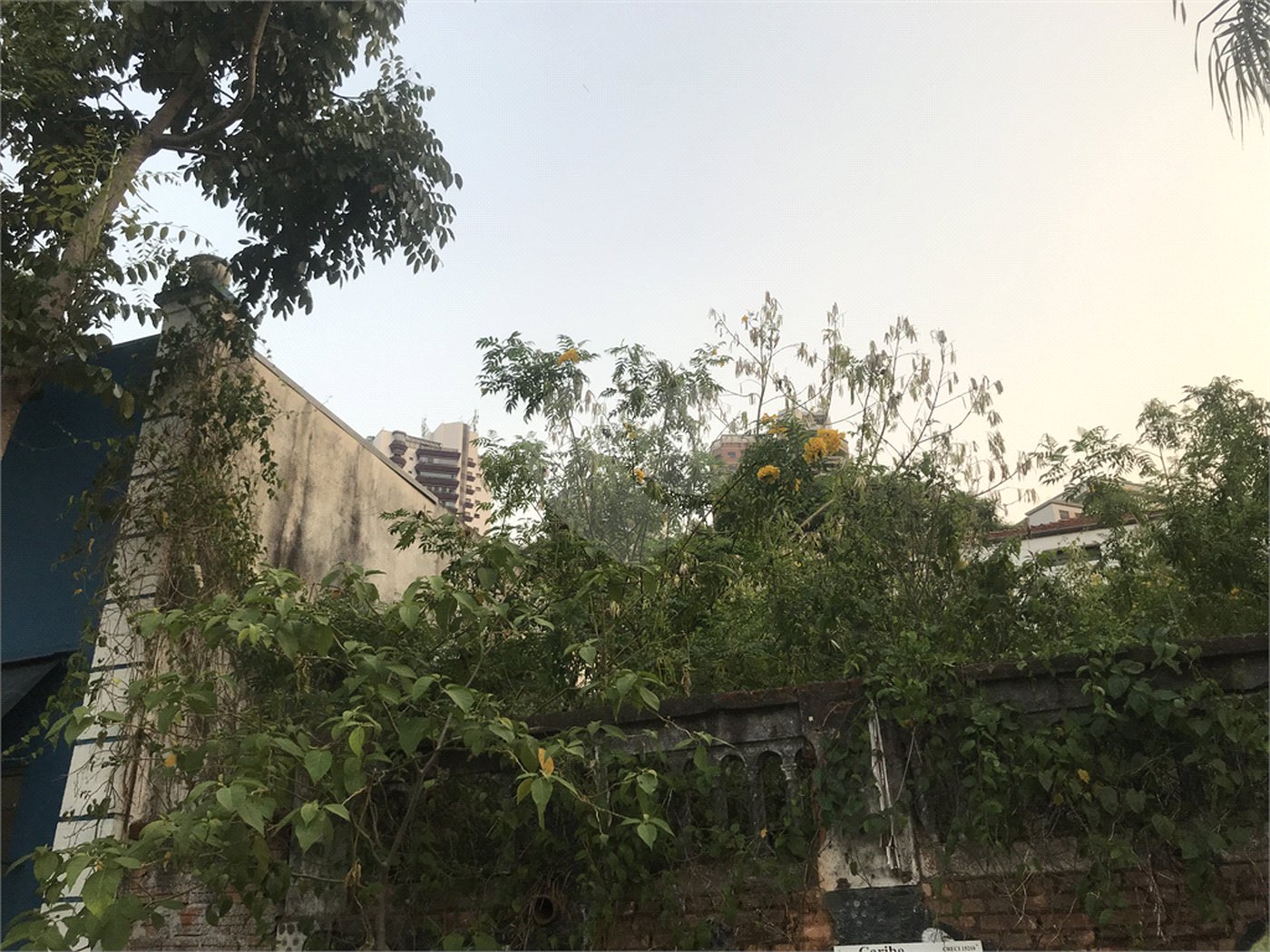 Terreno à venda em Água Fria, São Paulo, SP