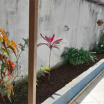 Sobrado à venda com 6 quartos, sendo 3 suítes, em Vila Divina Pastora, São Paulo, SP