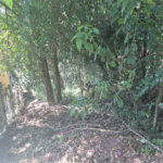 Condomínio à venda em Serra da Cantareira, Mairiporã, SP