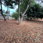 Chácara à venda com 3 quartos em Vila Sottemo, Itapetininga, SP