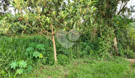 Terreno à venda no condomínio Gleba B1, Mairiporã - SP