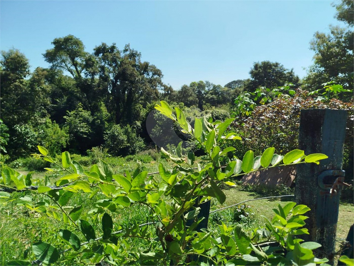 Casa à venda no condomínio Chacara Castelo, Sorocaba - SP