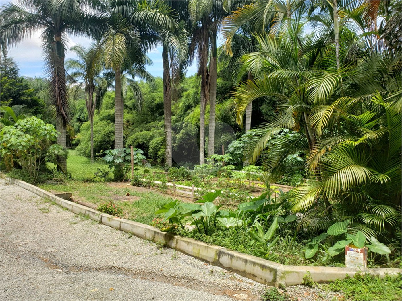 Terreno à venda em Horto, São Paulo, SP
