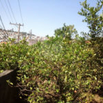 Terreno à venda em Tremembé, São Paulo, SP
