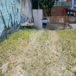 Terreno à venda em Tremembé, São Paulo, SP