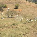 Sítio à venda com 3 suítes em Bairro do Cambará, São Roque, SP