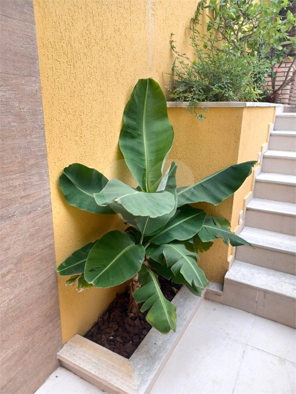 Casa Térrea à venda com 3 suítes em Jardim São Paulo(zona Norte), São Paulo, SP
