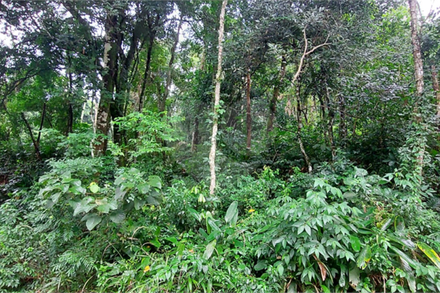 Terreno à venda no condomínio Sausalito, Mairiporã - SP