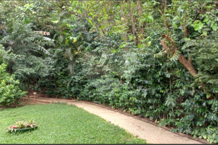 Apartamento à venda com 2 suítes em Parque do Morumbi, São Paulo, SP