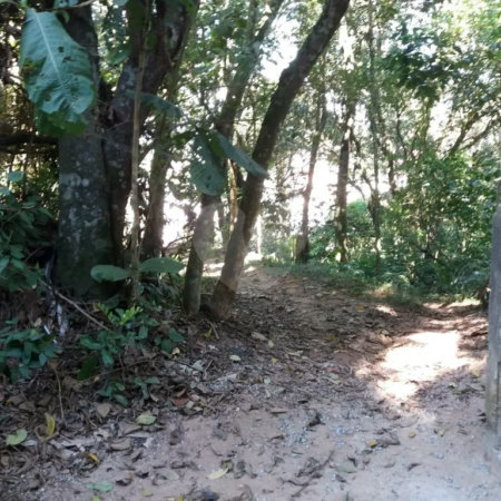 Terreno à venda em Tucuruvi, São Paulo, SP