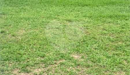 Terreno à venda no condomínio Residencial Veneza, Mogi das Cruzes - SP