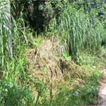 Terreno à venda no condomínio Parque Suiça, Caieiras - SP