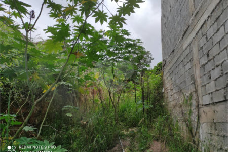 Terreno à venda em Chora Menino, São Paulo, SP