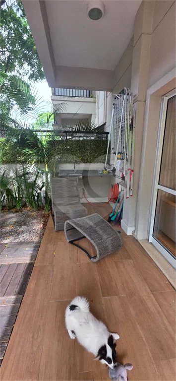 Apartamento para alugar com 2 quartos, sendo 1 suíte, em MORUMBI, São Paulo, SP