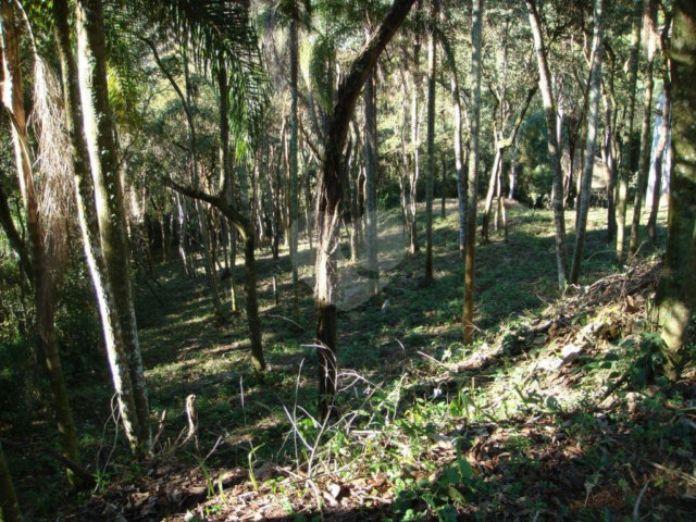 Casa em condomínio à venda com 4 suítes em Serra da Cantareira, Mairiporã, SP