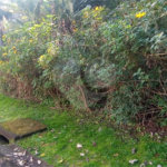 Terreno à venda no condomínio Sausalito, Mairiporã - SP