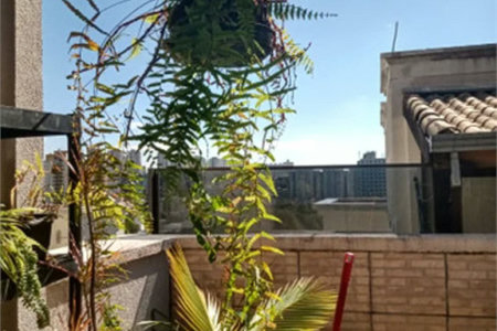 Cobertura à venda com 3 quartos em Jardim Umarizal, São Paulo, SP