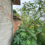 Área de Terra à venda ou para alugar com 2 quartos em Chácaras Reunidas Guaio, Suzano, SP