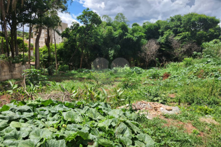 Terreno à venda em Jardim do Carmo, Araraquara, SP