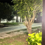 Casa em condomínio à venda ou para alugar com 3 quartos, sendo 1 suíte,  em Geribá, Armação dos Búzios, RJ