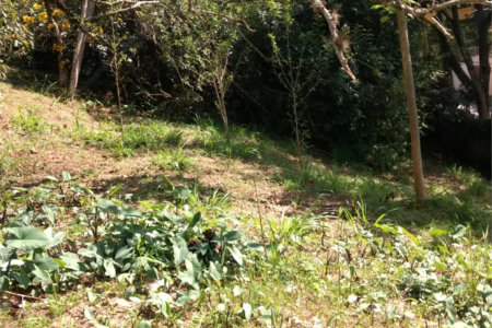 Terreno à venda em Jardim Morumbi, São Paulo, SP