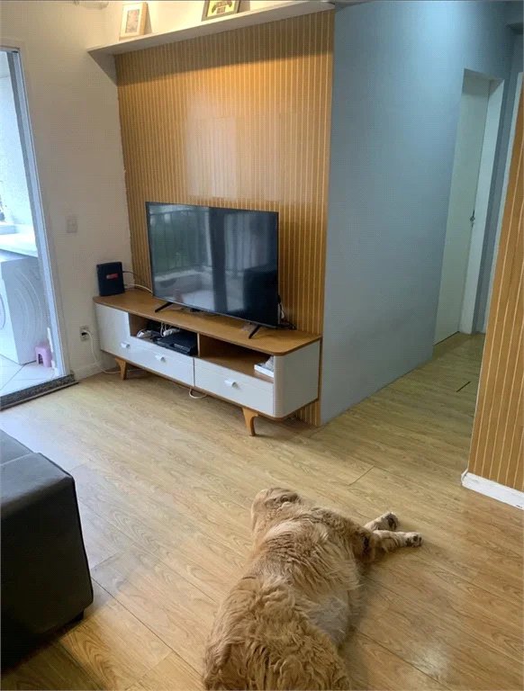 Apartamento à venda com 1 quarto em Parque Reboucas, São Paulo, SP