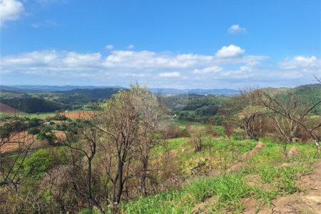 Área de Terra à venda com 1 suíte em Cocais, Itatiba, SP