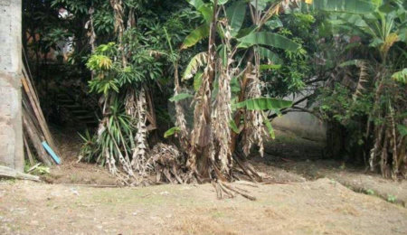 Terreno à venda em Jardim Jussara, São Paulo, SP