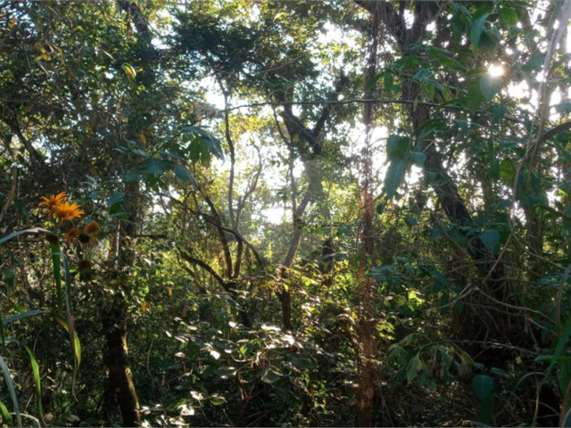 Terreno à venda em Caraguatá, Mairiporã, SP