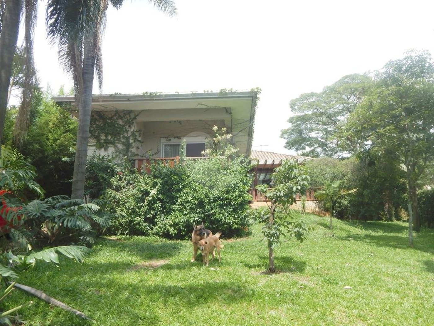 Casa Térrea à venda com 3 suítes em Jardim Prudência, São Paulo, SP