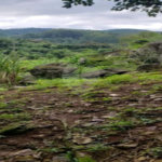 Terreno à venda em Horto, São Paulo, SP