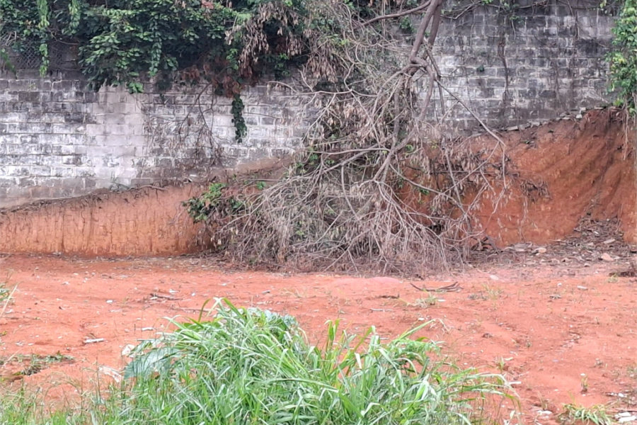 Terreno à venda em Vila Albertina, São Paulo, SP